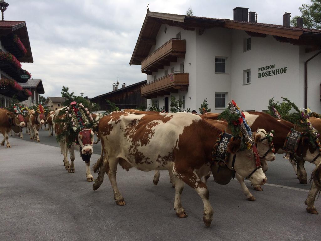 Pension Rosenhof Brixen im Thale Eksteriør billede